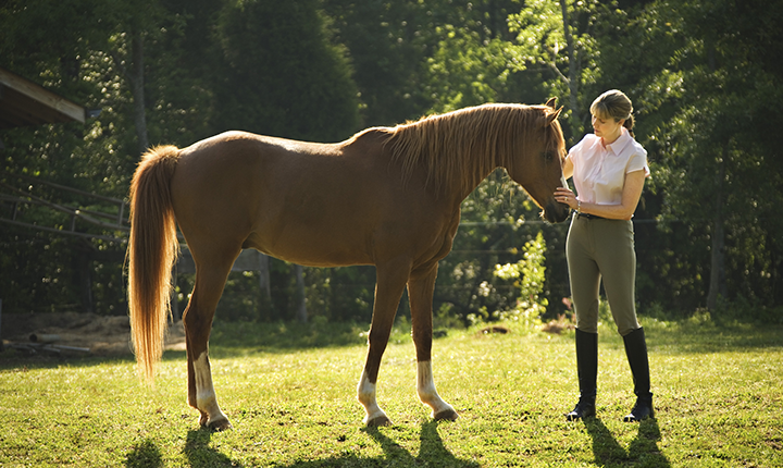 Woman petting brown horse's face