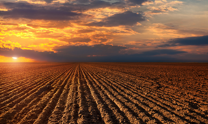 Plowed field with the sun low on the horizon
