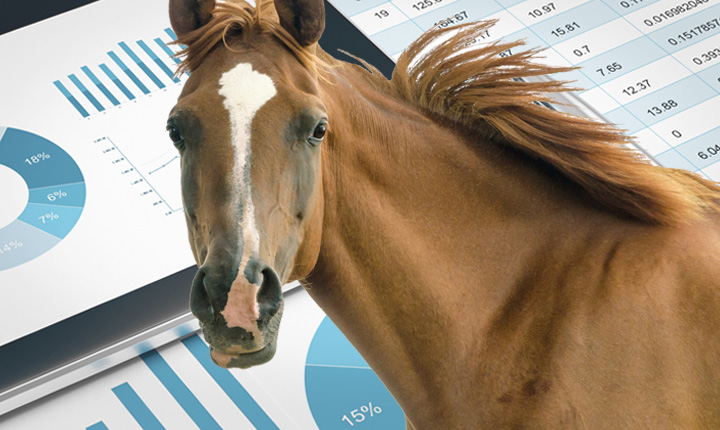 Brown horse standing with financial statements in the background