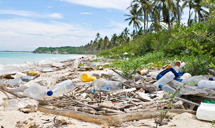 Plastic bottles and garbage washed ashore an otherwise picturesque tropical white sand beach