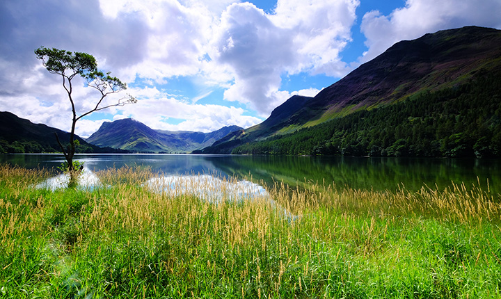 Mountain side lake with single tree under blue skies. 