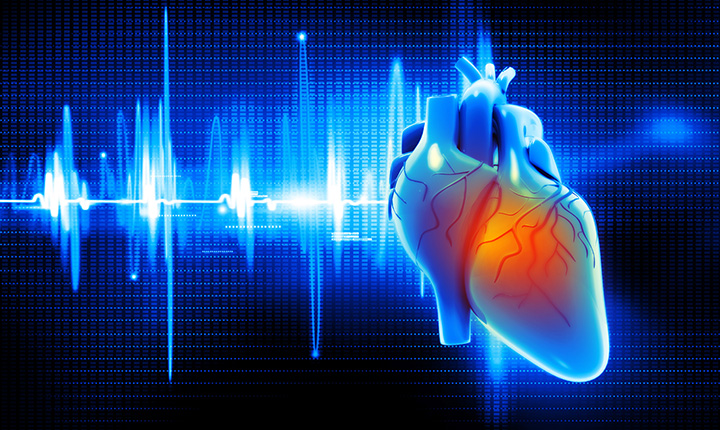 Heart with cardiac rhythm in the background