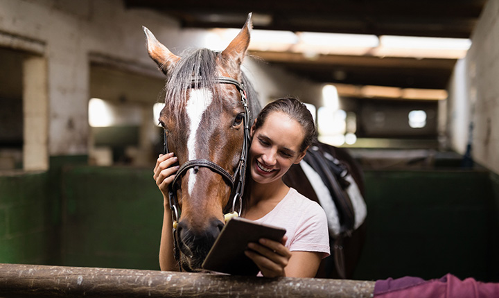 Girl holding horses' bit while looking at tablet computer in barn