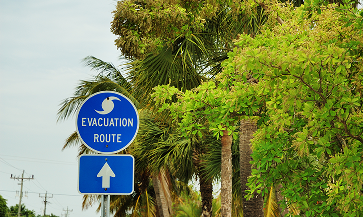 Coastal evacuation route highway sign beside trees