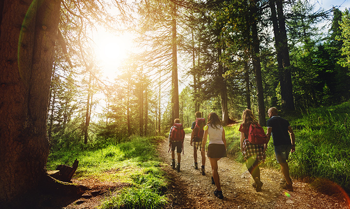 A group of people hiking in a forest with the sun shining through