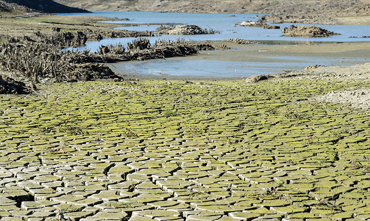 Dried out lake bed