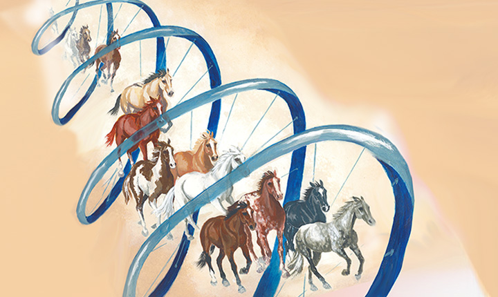 a hand-drawn image of horses running through a blue DNA strand