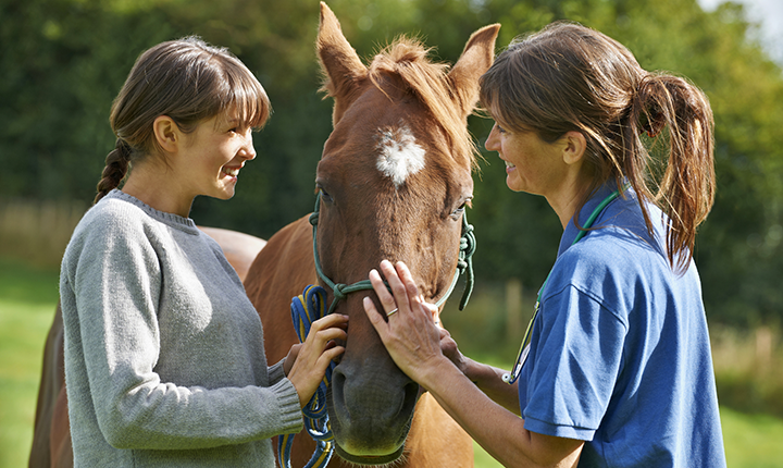 Two woman standing on either side of a brown horse, petting its face