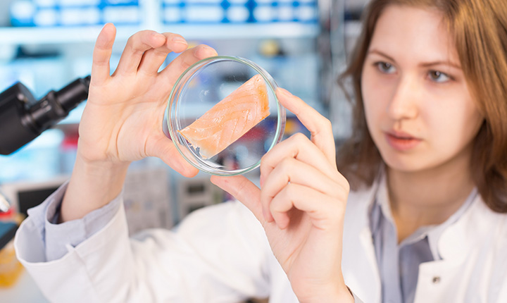 Woman in science lab looking at piece of fish in petri dish