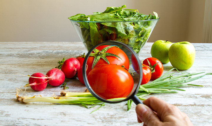 bowl of lettuce in background with hand holding magnifying glass examining tomato