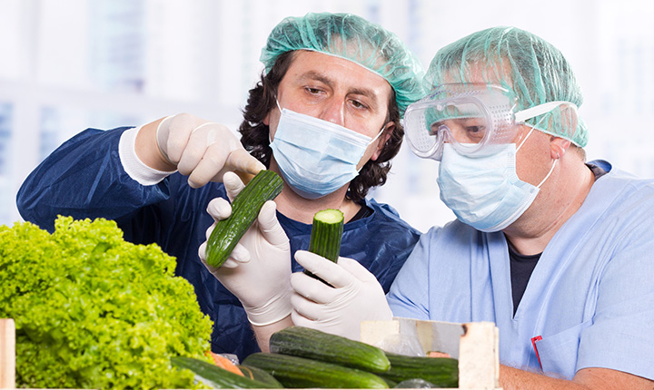 Two laboratory workers inspecting cut cucumbers