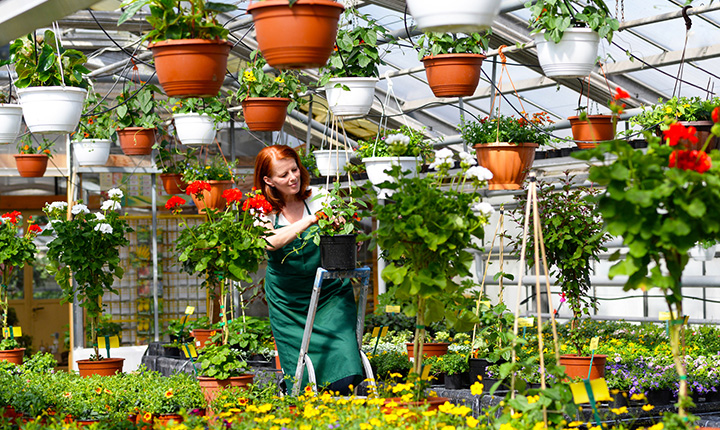 greenhouse management course educational