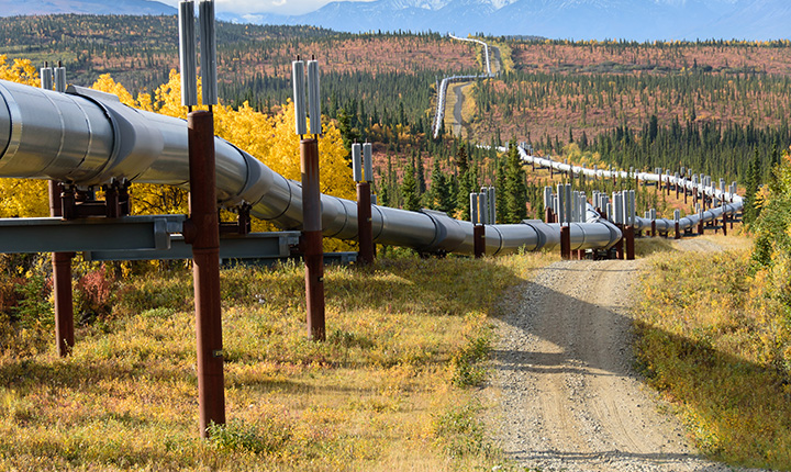 Trans Alaska Pipeline with Autumn Colors
