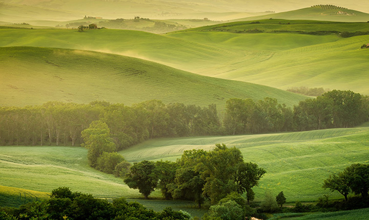 A green landscape image of rolling hills in Tuscany 