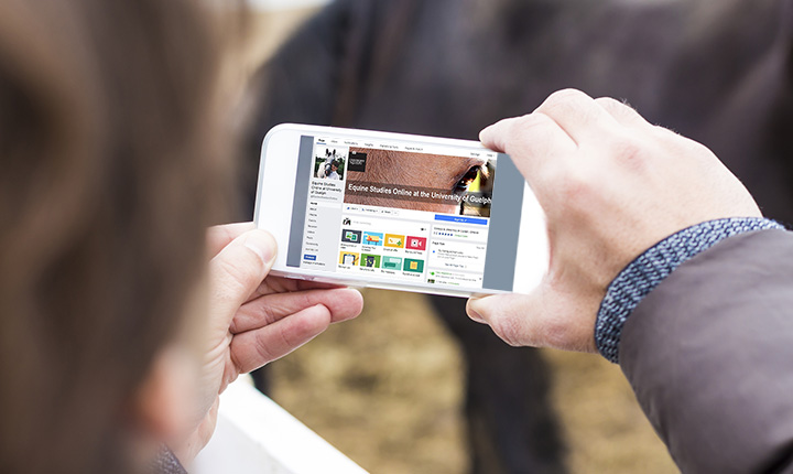 Hands scrolling through Equine Studies Online Facebook with a horse in the background