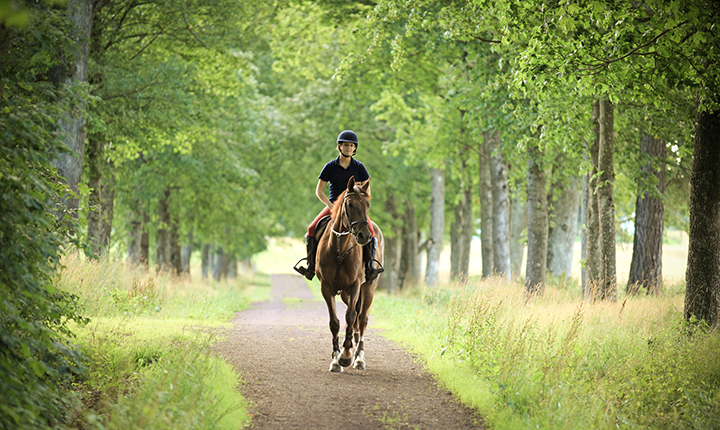 Woman riding horse on path through the woods