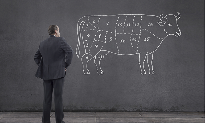 Person studying a chart of beef cuts sketched on wall