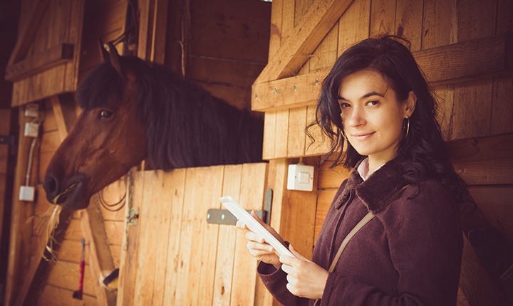 Brown horse looking out of box stall behind woman holding paper and pencil